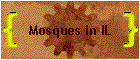 Mosques in IL