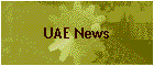 UAE News